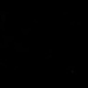 Meet your Posher, Theodore